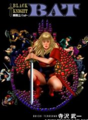 black-knight-bat-55605