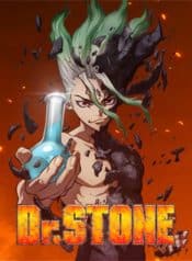 Dr. Stone