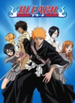 Bleach
